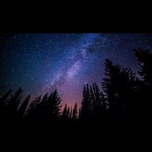 Meet your Posher, Seth